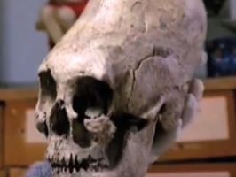 На раскопках в Омской области нашли необычные черепа